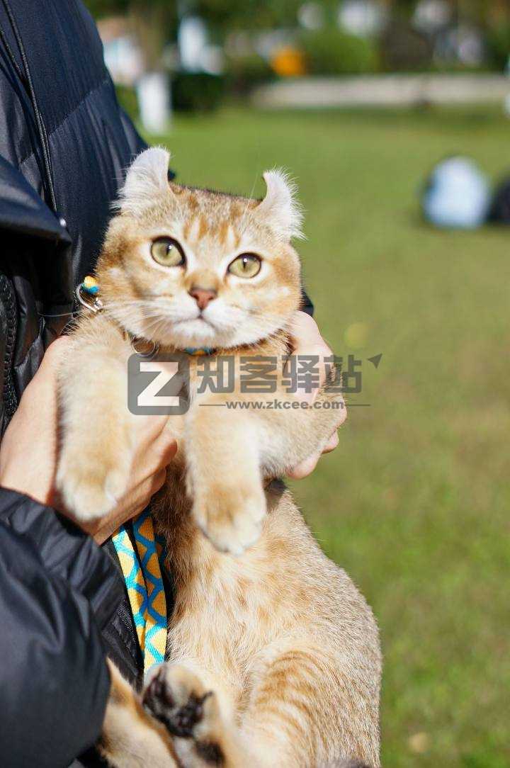 干货：小白入坑摄影必须要知道的知识