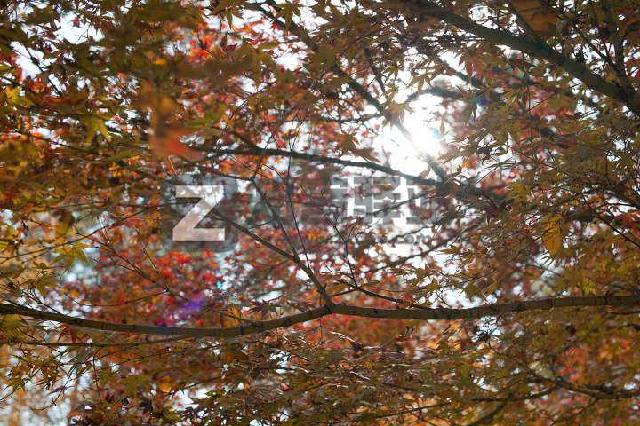 干货：小白入坑摄影必须要知道的知识