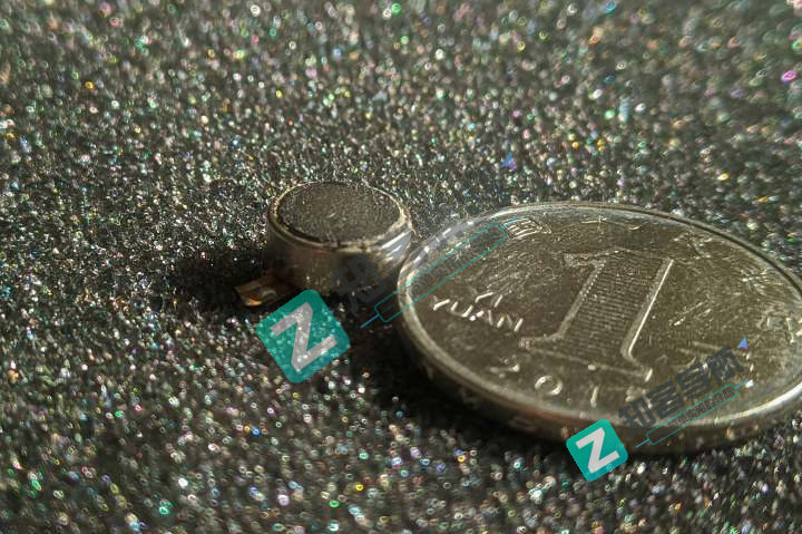 主流震动马达拆解图解，教你直观认识震动马达构造！