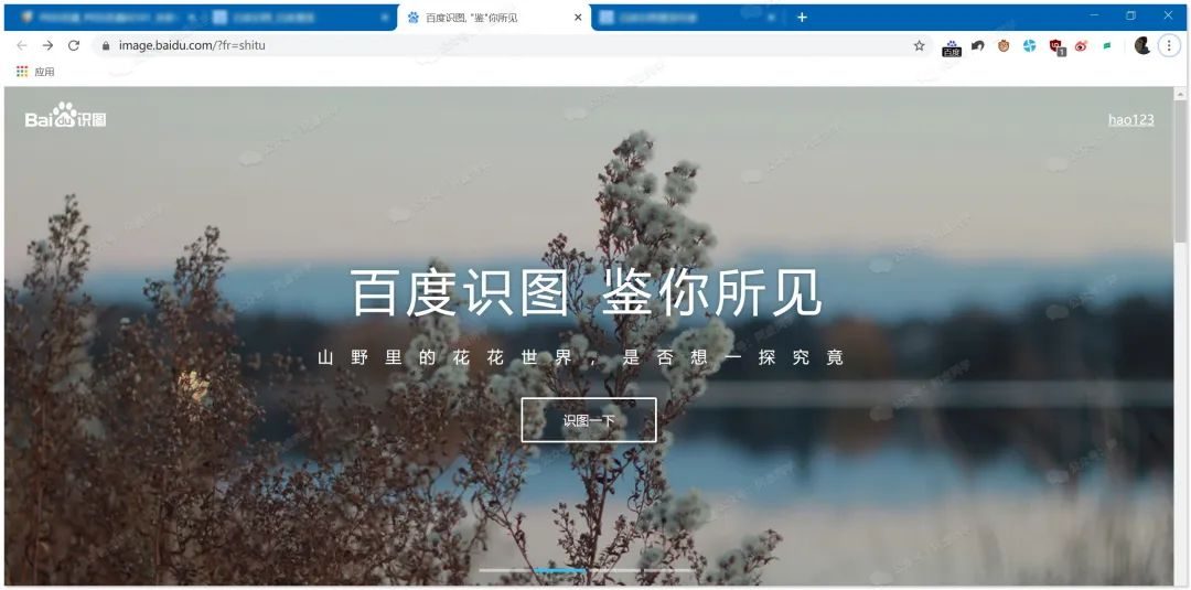 以图搜图怎么来搜?这篇文章教你洞悉怎么来以图搜图的秘诀?-14 以图搜图怎么来搜?这篇文章教你洞悉怎么来以图搜图的秘诀?