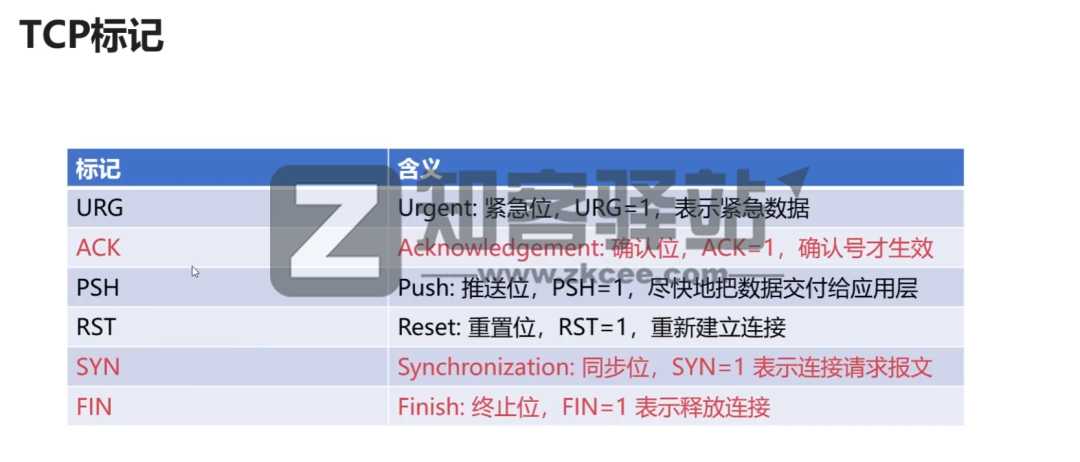 计算机网络知识点大全！