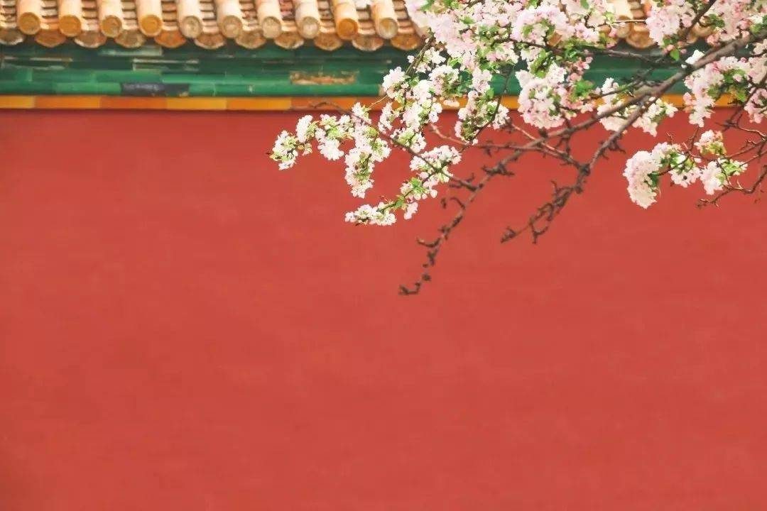 摄影技巧：春天最全拍照攻略，照着拍就行了！