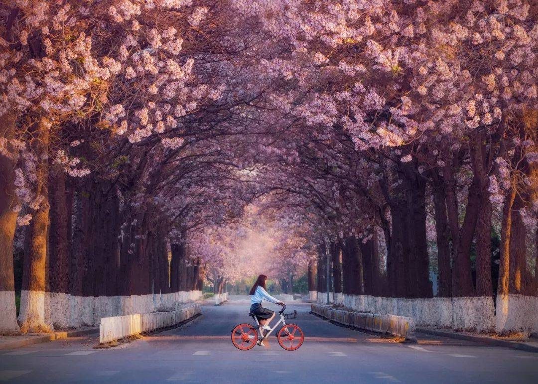 摄影技巧：春天最全拍照攻略，照着拍就行了！