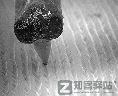 【数字存储完全指南系列】 01：储存设备的诞生与历史（上）