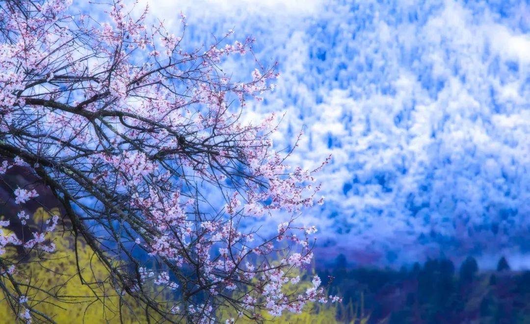 摄影技巧：春天最全拍照攻略，照着拍就行了！