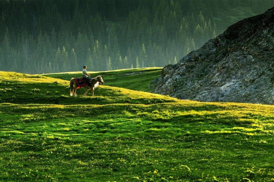 摄影技巧：春天最全拍照攻略，照着拍就行了！