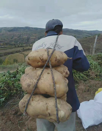 每天一分钟看世界！4月30日，农历 三月三十 星期六，历史上的今天和生活冷知识