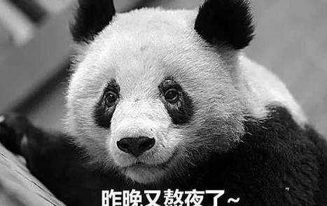 每天一分钟看世界!4月27日,农历 三月二十七 星期三,历史上的今天和生活冷知识-2 每天一分钟看世界!4月27日,农历 三月二十七 星期三,历史上的今天和生活冷知识