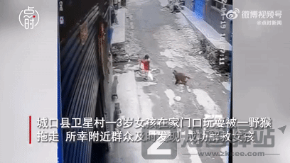 野生猕猴被骂上热搜，“猴”设崩塌，网友：没想到它还有两副面孔