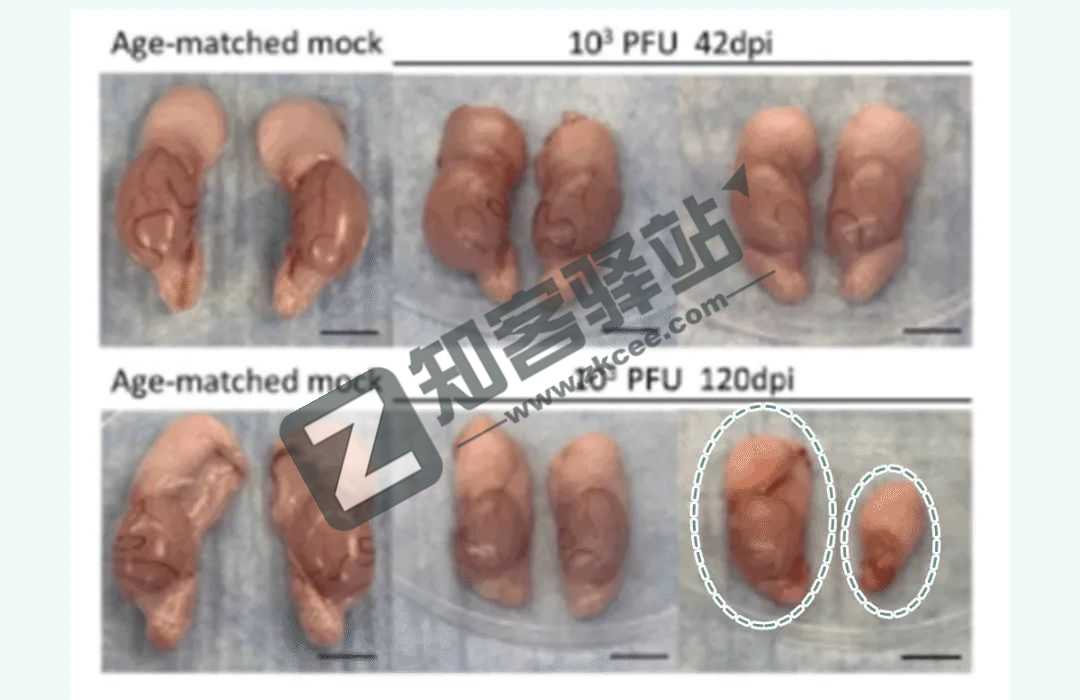 4月5日，农历 三月初五 星期二，在这里每天60秒读懂世界！