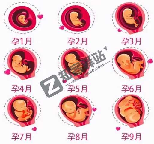 4月5日，农历 三月初五 星期二，在这里每天60秒读懂世界！