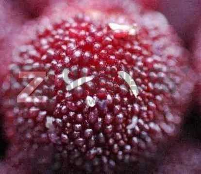 4月14日，农历 三月十四 星期四，每天60秒读懂世界！历史上的今天和生活冷知识