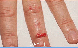 4月9日，农历 三月初九 星期六，每天60秒读懂世界！