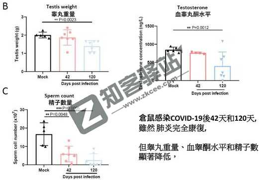 4月5日，农历 三月初五 星期二，在这里每天60秒读懂世界！