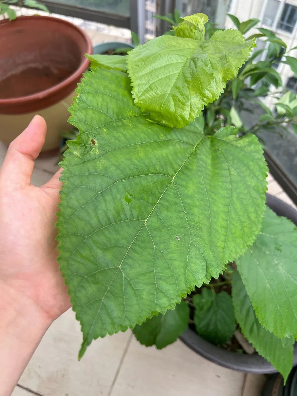 4月27日，农历 三月二十七 星期三，每天一分钟看世界！历史上的今天和生活冷知识