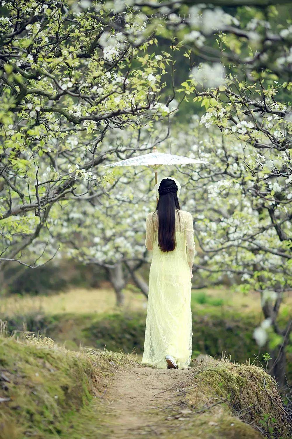 摄影技巧：春天最全拍照攻略，照着拍就行了！