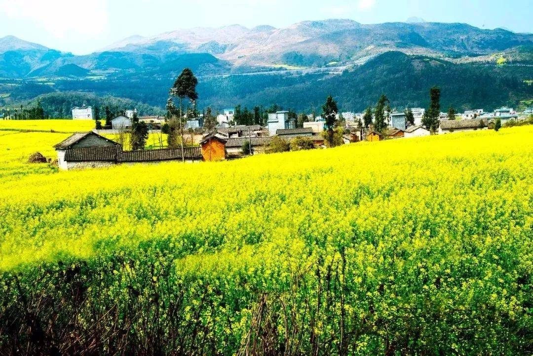 摄影技巧：春天最全拍照攻略，照着拍就行了！