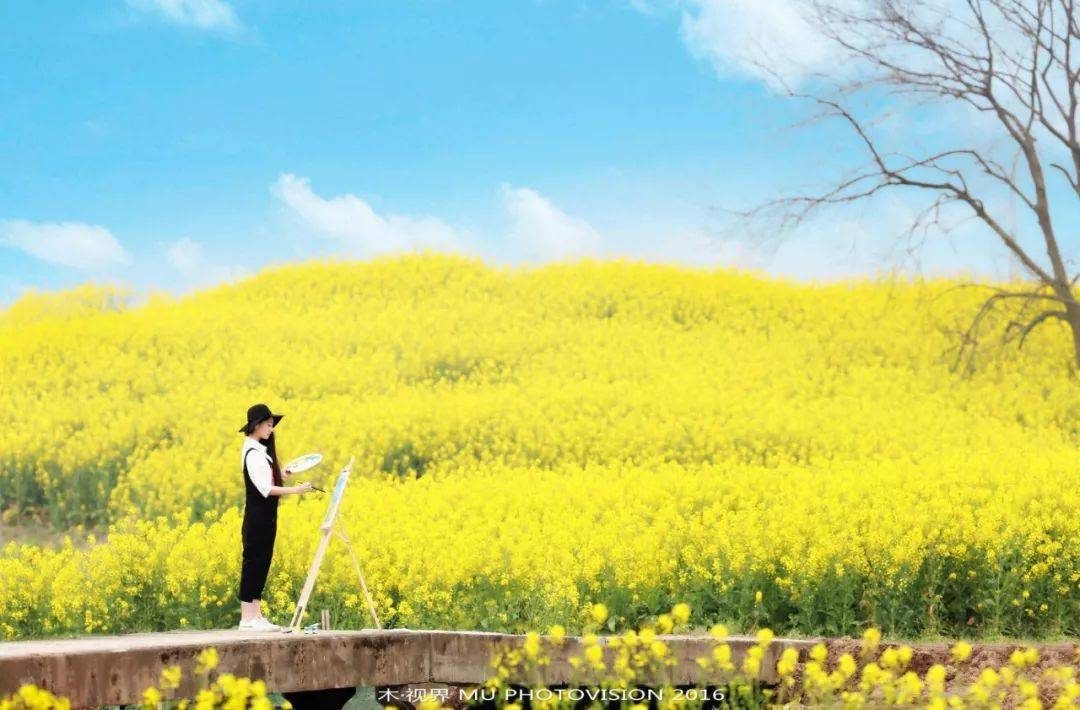 摄影技巧：春天最全拍照攻略，照着拍就行了！