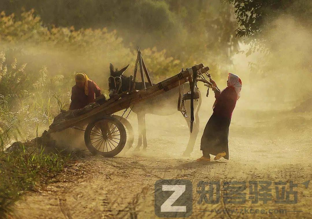 父母尚在苟且,你却在炫耀诗和远方(感动无数人)-3 父母尚在苟且,你却在炫耀诗和远方(感动无数人)