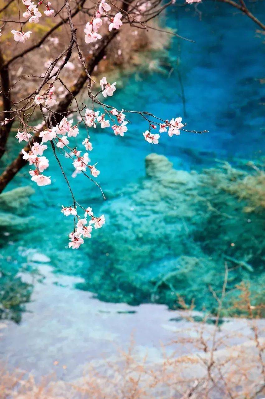 摄影技巧：春天最全拍照攻略，照着拍就行了！