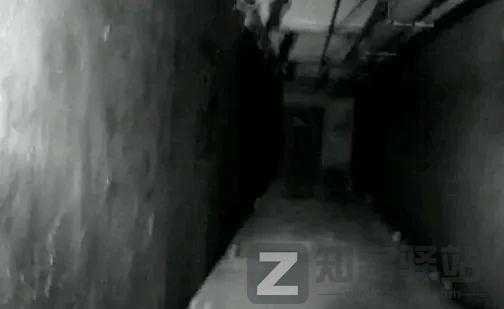 那些恐怖照片背后的故事，现实永远比故事更加荒诞...