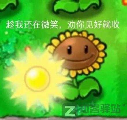 IP属地开放！看片记录也藏不住了？