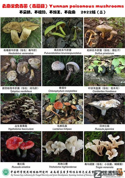 每天一分钟看世界！5月7日，农历 四月初七 星期六，历史上的今天和生活冷知识