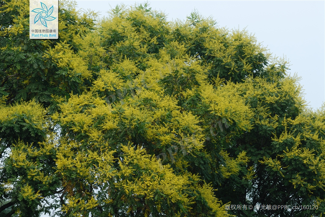 每天一分钟看世界！5月28日，农历 四月二十八星期六，历史上的今天和生活冷知识