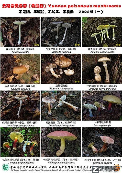 每天一分钟看世界！5月7日，农历 四月初七 星期六，历史上的今天和生活冷知识