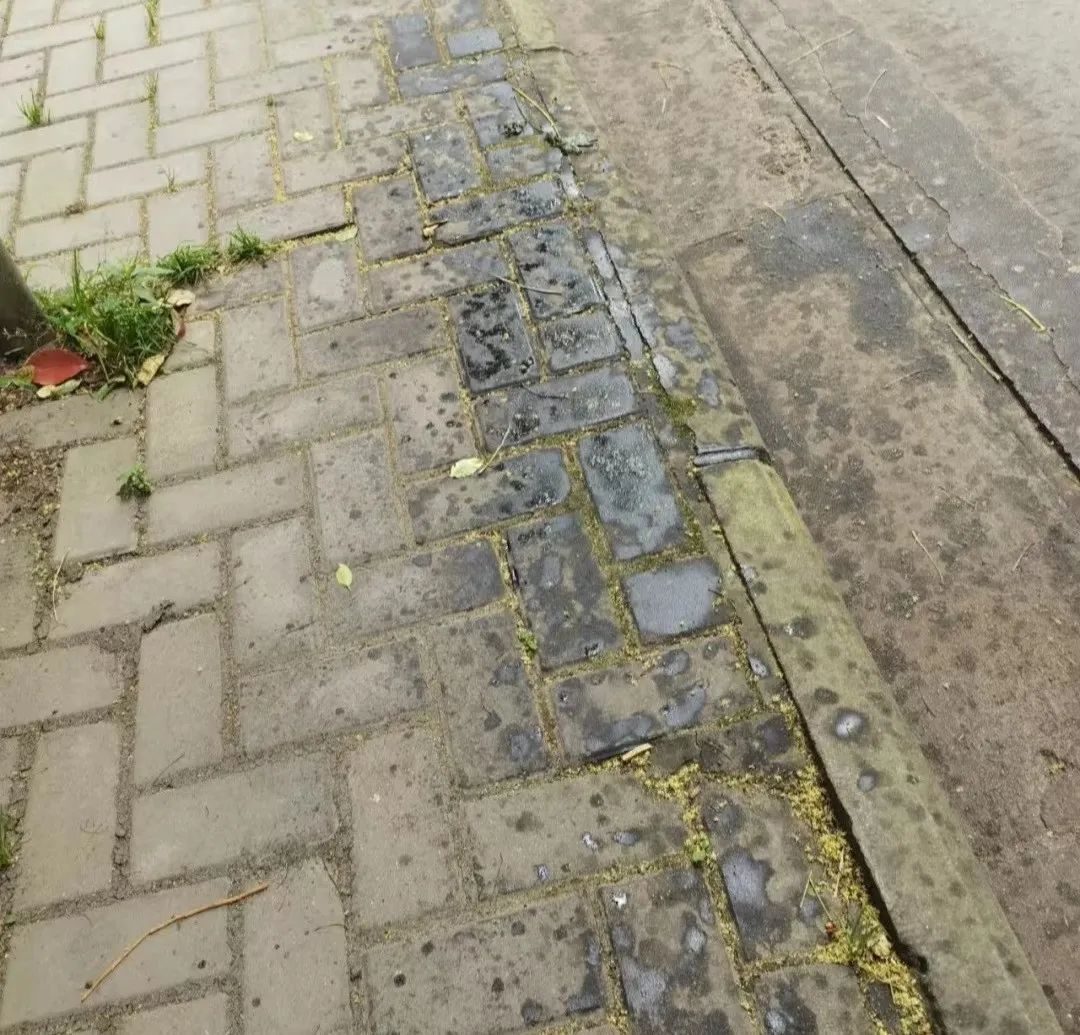 每天一分钟看世界！5月28日，农历 四月二十八星期六，历史上的今天和生活冷知识