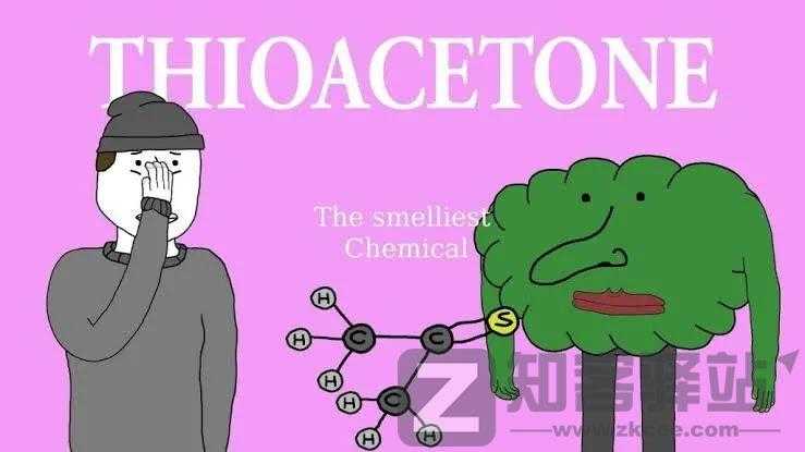 每天一分钟看世界！5月21日，农历 四月二十一星期六，历史上的今天和生活冷知识