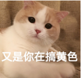 那个“快播”，彻底没了。。。