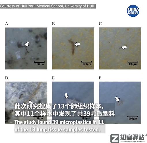 每天一分钟看世界！5月12日，农历 四月十二星期四，历史上的今天和生活冷知识