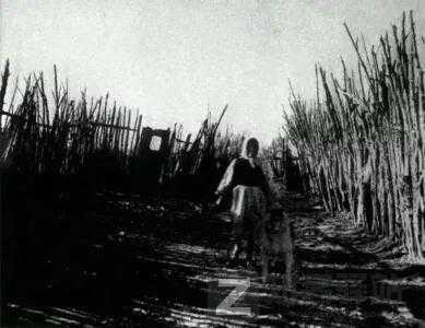 那些恐怖照片背后的故事，现实永远比故事更加荒诞...