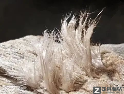 每天一分钟看世界!5月20日,农历 四月二十星期五,历史上的今天和生活冷知识-2 每天一分钟看世界!5月20日,农历 四月二十星期五,历史上的今天和生活冷知识