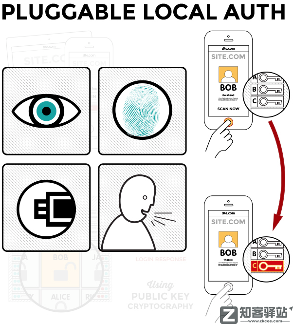 苹果突然跟谷歌合作，iOS和安卓终于互通了
