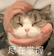 被差评轰炸后，这国产游戏“大砍”女角色胸围！