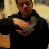 那个“快播”，彻底没了。。。