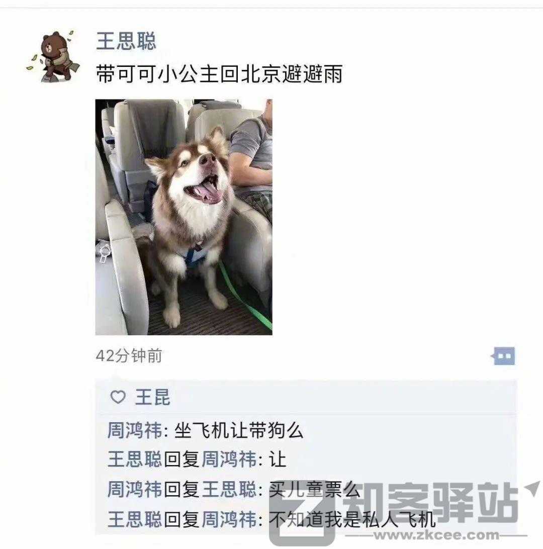 美女扮狗癖,年入600万,太恶臭了!-4 美女扮狗癖,年入600万,太恶臭了!