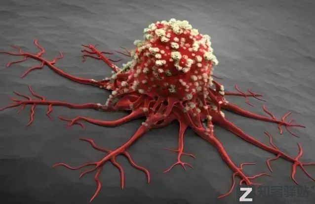 每天一分钟看世界！5月5日，农历 四月初五 星期四，历史上的今天和生活冷知识