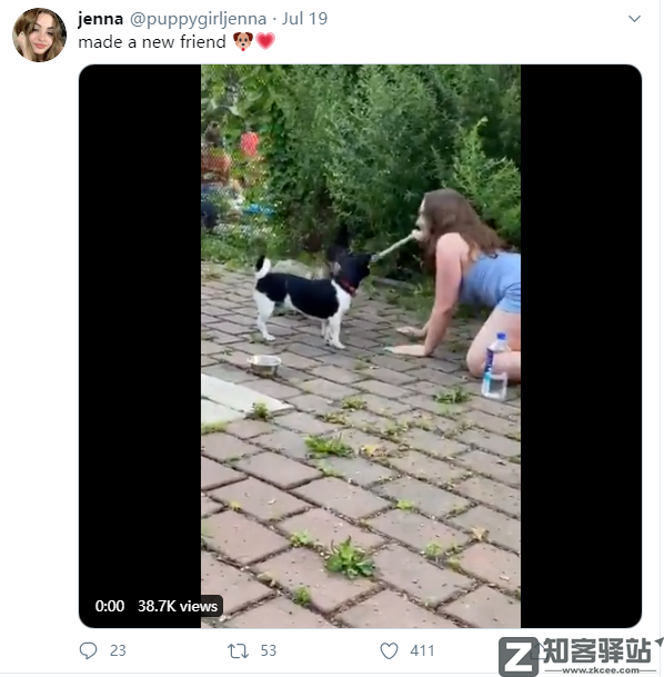 美女扮狗癖,年入600万,太恶臭了!-1 美女扮狗癖,年入600万,太恶臭了!
