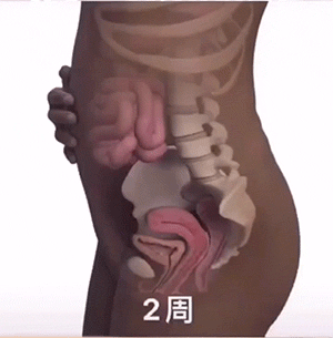 每天一分钟看世界！5月9日，农历 四月初九 星期一，历史上的今天和生活冷知识