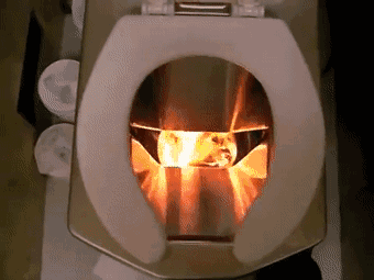 每天一分钟看世界！5月16日，农历 四月十六星期一，历史上的今天和生活冷知识