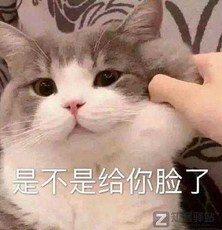 卫龙辣条当众搞黄色？太污了......