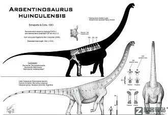 每天一分钟看世界！6月3日，农历 五月初五星期五，历史上的今天和生活冷知识