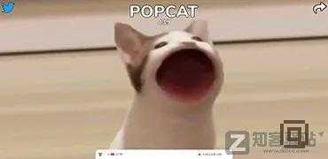 解锁一大波涨姿势的小众网站，总有你未曾涉足的新大陆