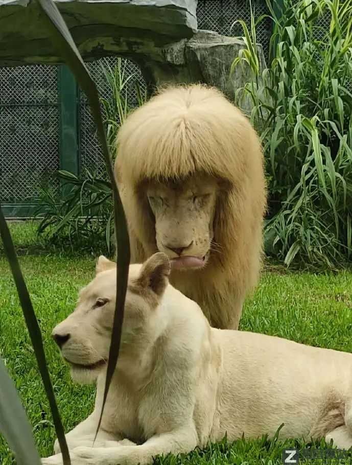 2022年6月22日，历史上的今天和生活冷知识