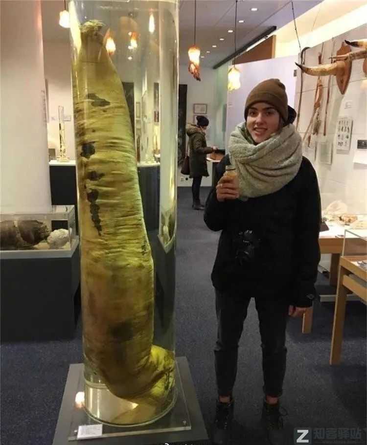 2022年6月27日，历史上的今天和生活冷知识