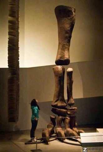 每天一分钟看世界！6月3日，农历 五月初五星期五，历史上的今天和生活冷知识