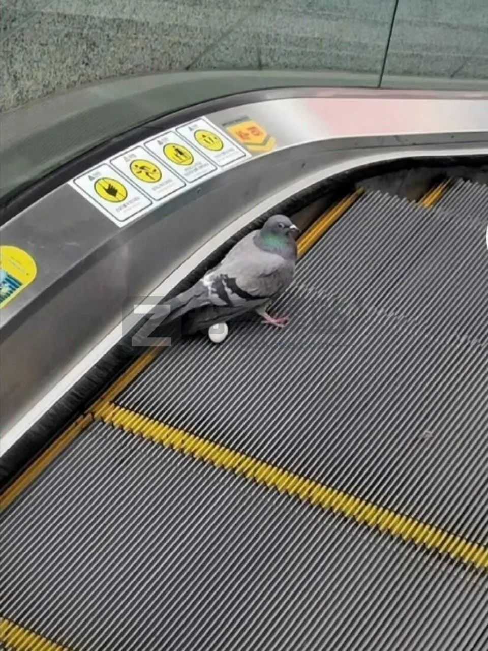 2022年7月7日，历史上的今天和生活冷知识